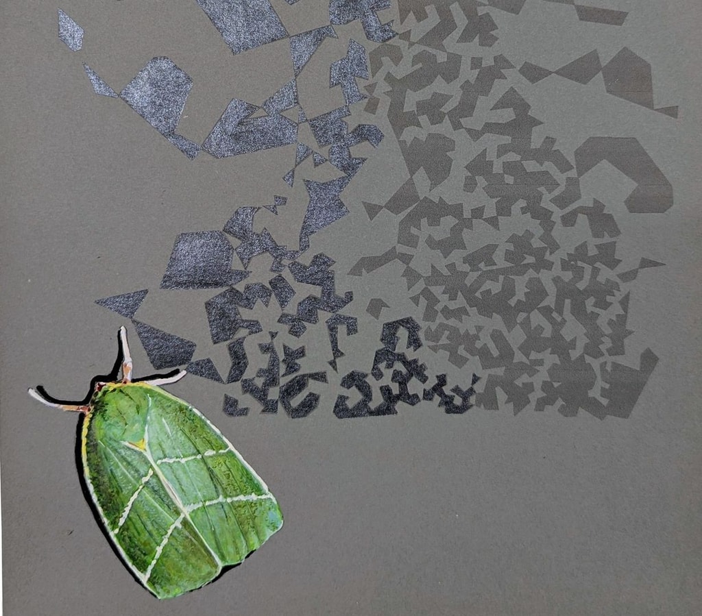 Painting by Mir Jansen showing a small green moth with an array of grey patterns emanating from it.